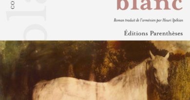 Le cavalier blanc de Hamasdegh Le cavalier blanc de Hamasdegh