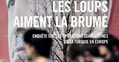 Les loups aiment la brume de Laure Marchand et Guillaume Perrier Les loups aiment la brume de Laure Marchand et Guillaume Perrier