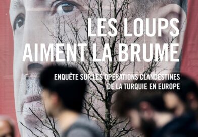 Les loups aiment la brume de Laure Marchand et Guillaume Perrier