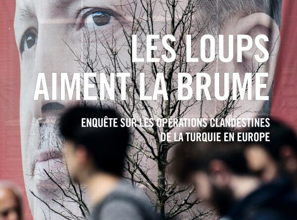 Les loups aiment la brume de Laure Marchand et Guillaume Perrier